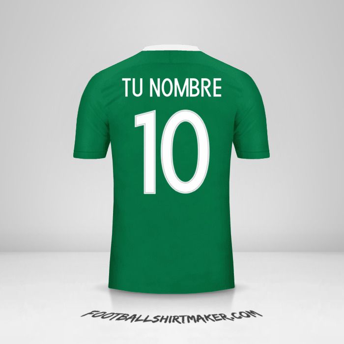 Camiseta Nigeria 2016/17 número 10 tu nombre