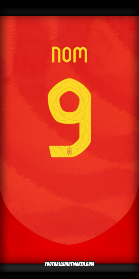 Maillot Espagne 2024 -  nom - 9