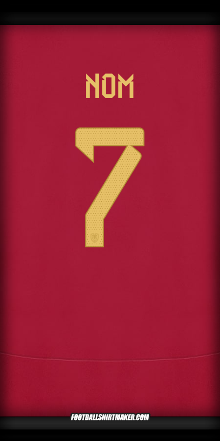 Maillot Venezuela 2024 -  nom - 7