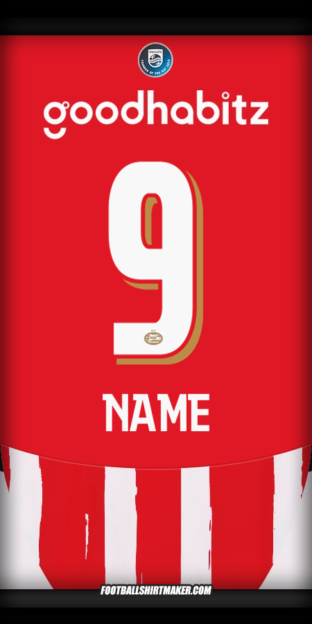 Shirt PSV 2024/2025 -  name - 9