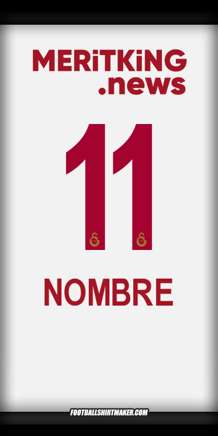 Jersey Galatasaray SK 2024/2025 Visita -  nombre - 11