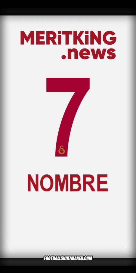 Camiseta Galatasaray SK 2024/2025 Visita -  nombre - 7