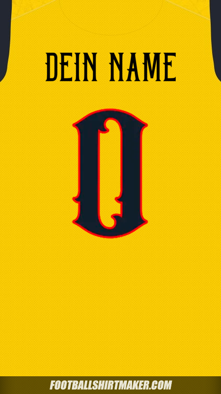 Trikot Ecuador 2025 Centenario -  dein name - 0