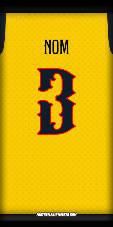 Maillot Équateur Centenaire 2025 -  nom - 3