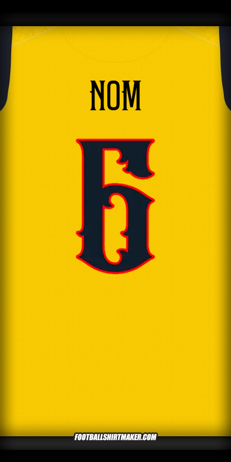 Maillot Équateur Centenaire 2025 -  nom - 6