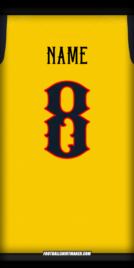 Shirt Ecuador Centenary 2025 -  name - 8
