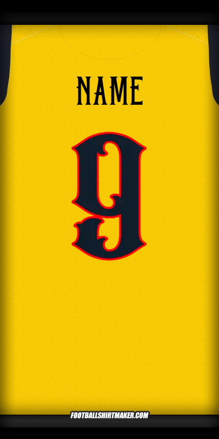 Shirt Ecuador Centenary 2025 -  name - 9