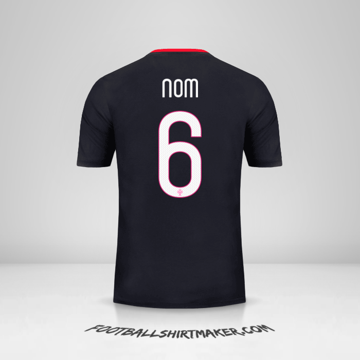 Maillot Portugal 2015 Extérieur -  nom - 6