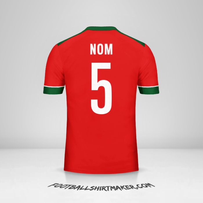 Maillot Indonésie 2014/15 -  nom - 5