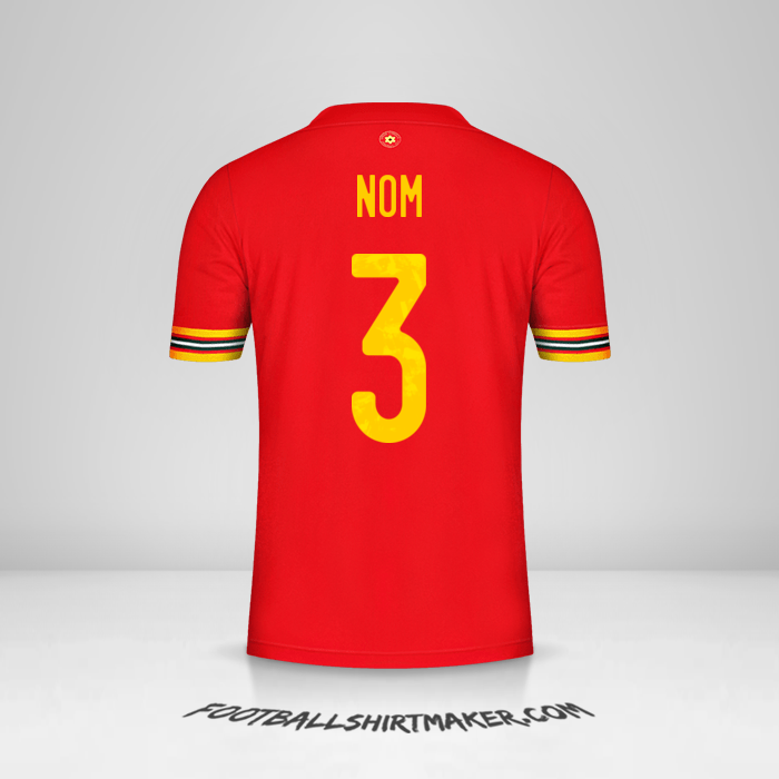 Maillot Pays de Galles 2020/2021 -  nom - 3