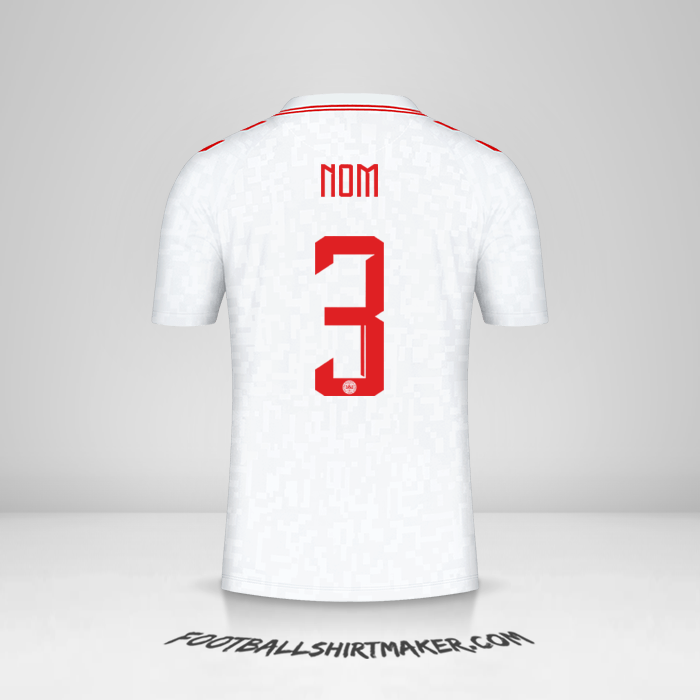 Maillot Danemark 2024 Extérieur -  nom - 3