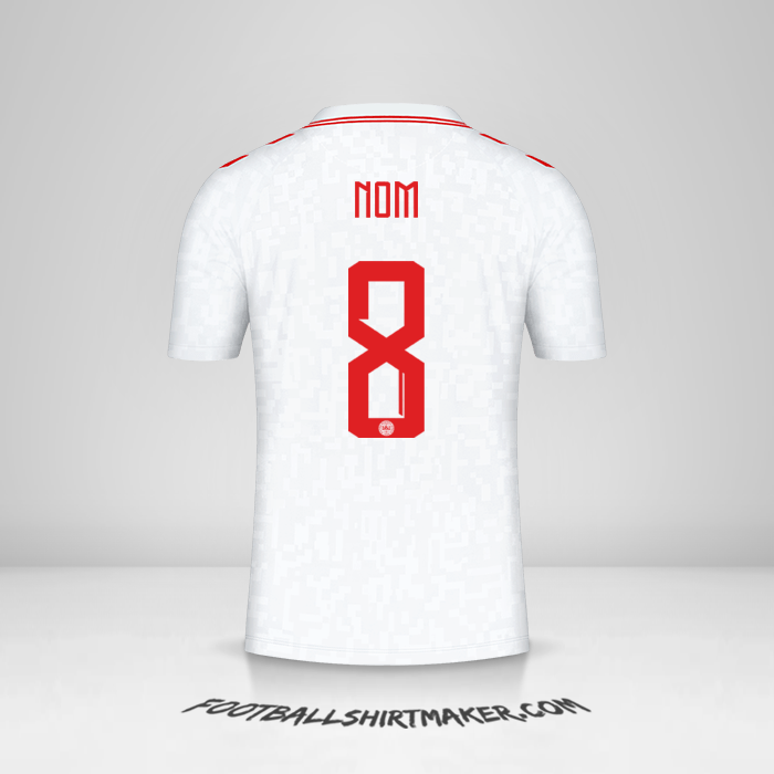 Maillot Danemark 2024 Extérieur -  nom - 8