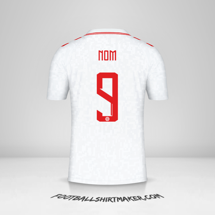 Maillot Danemark 2024 Extérieur -  nom - 9