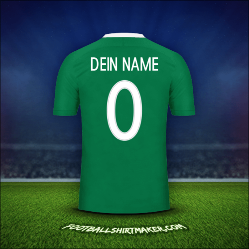 Trikot Nigeria 2016/17 -  dein name - 0