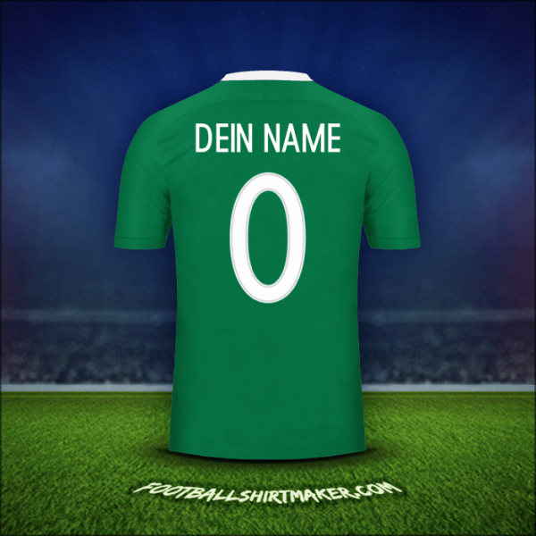 Trikot Nigeria 2016/17 -  dein name - 0