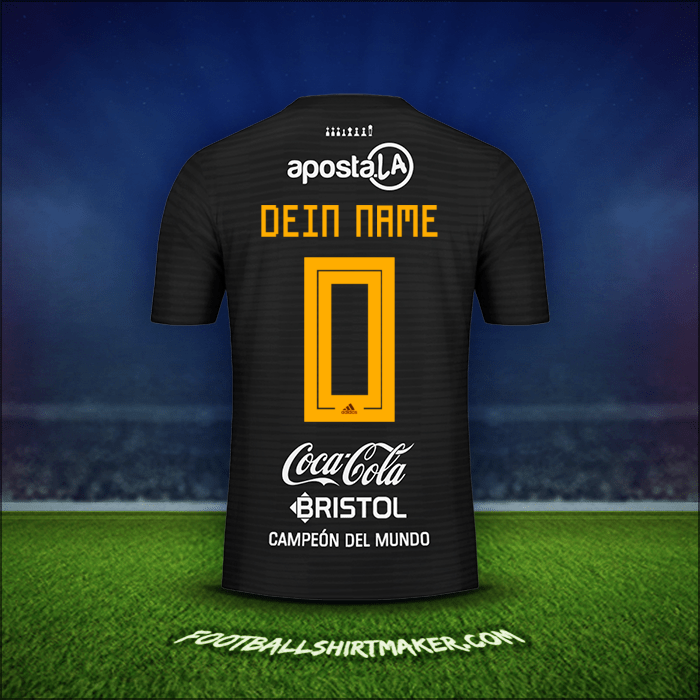 Trikot Club Olimpia Libertadores 2019 Auswärts -  dein name - 0