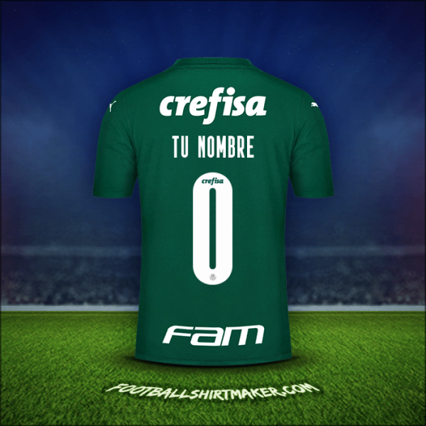 Camiseta Palmeiras Libertadores 2021 -  tu nombre - 0