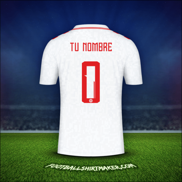 Jersey Dinamarca 2024 Visita -  tu nombre - 0